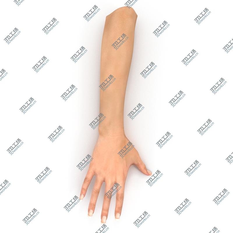 images/goods_img/202105071/Female Hand 2 Rigged for Maya/5.jpg